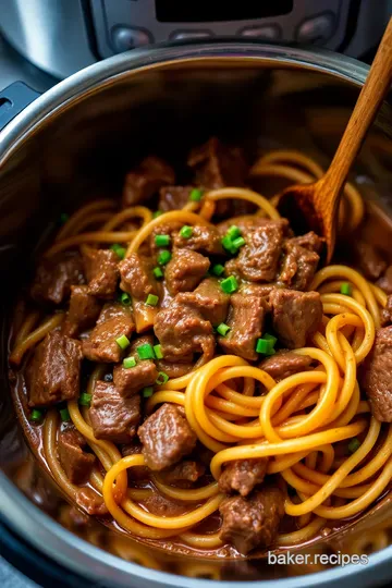 Hearty Instant Pot Beef and Noodles presentation